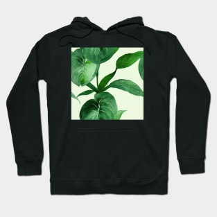 Pothos leaves pattern Hoodie